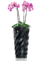 lechuza-diamante-buds-office-plants